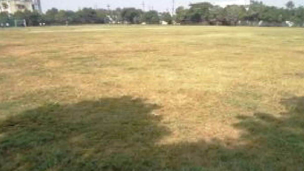 MP High Court: खेल के मैदान में विवाह समारोहों की अनुमिति क्यों, मप्र हाई कोर्ट ने मांगा जवाब