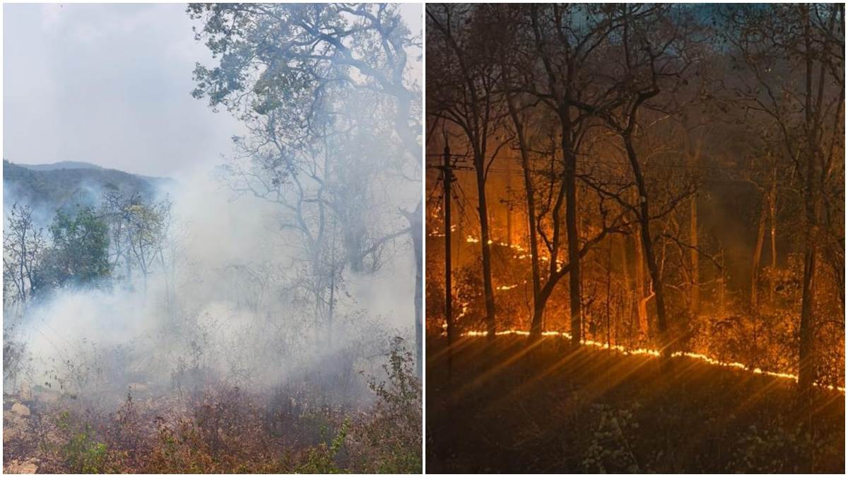 बीजापुर के महादेव घाटी के नेशनल पार्क क्षेत्र सहित जंगलों में फैली आग, इमारती और जलाऊ लकड़ी खाक