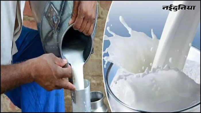 अब मोबाइल बताएगा दूध कितना शुद्ध, NDDB टेस्टिंग ऐप से होगी जांच, रियल टाइम डेटा से रुकेगी गड़बड़ी