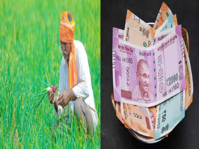 Pm kisan yojana take upto 3 lakh loan at affordable rate of interest know  how to apply and full details