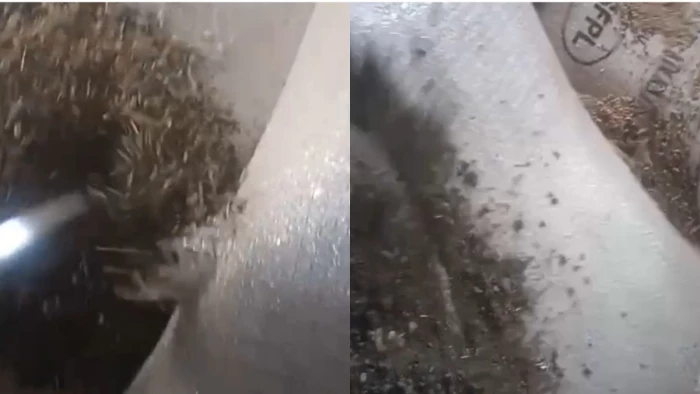 सागर में गेहूं की जगह वेयरहाउस भेज दीं मिट्टी की बोरियां, स्व सहायता समूह के अध्यक्ष और सचिव सहित 3 पर FIR