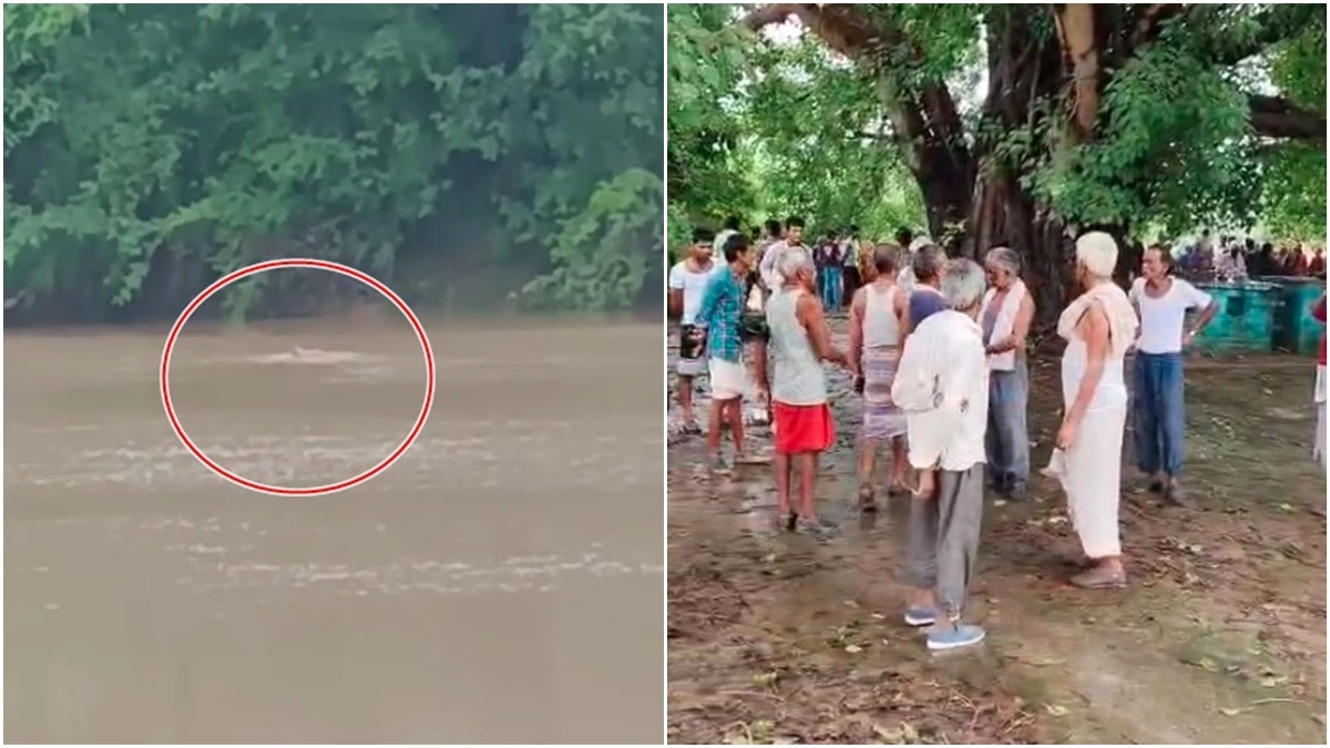 नदी के किनारे बैठी थी महिला, मगरमच्छ ने झपट्टा मारा और खींचकर पानी में ले गया... एमपी के दमोह की घटना