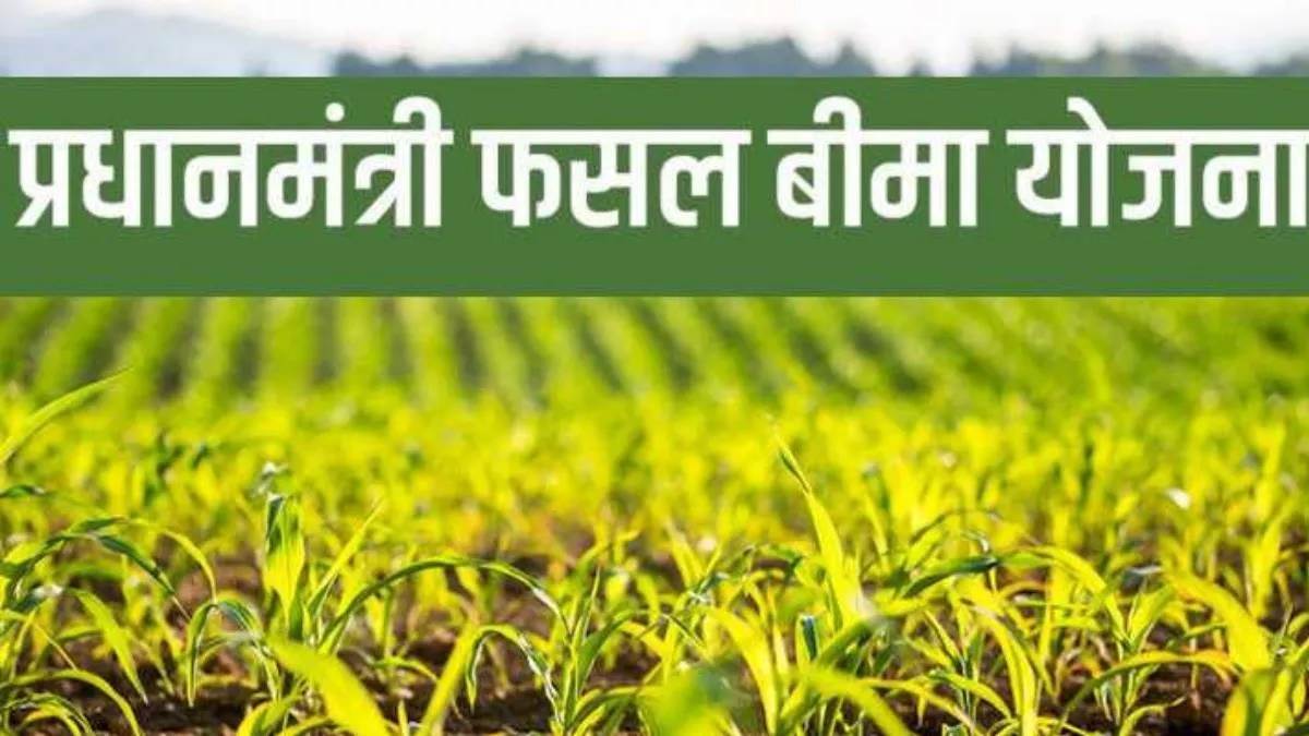PM फसल बीमा योजना: MP के किसानों के पास 31 जुलाई तक मौका, आवेदन के लिए ये दस्तावेज हैं जरूरी