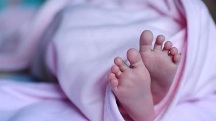 पत्नी और नवजात की देखभाल के लिए अस्थायी जमानत, हत्या का दोषी 12 दिन रहेगा जेल से बाहर, MP हाई कोर्ट ने मानवीय आधार पर दी राहत