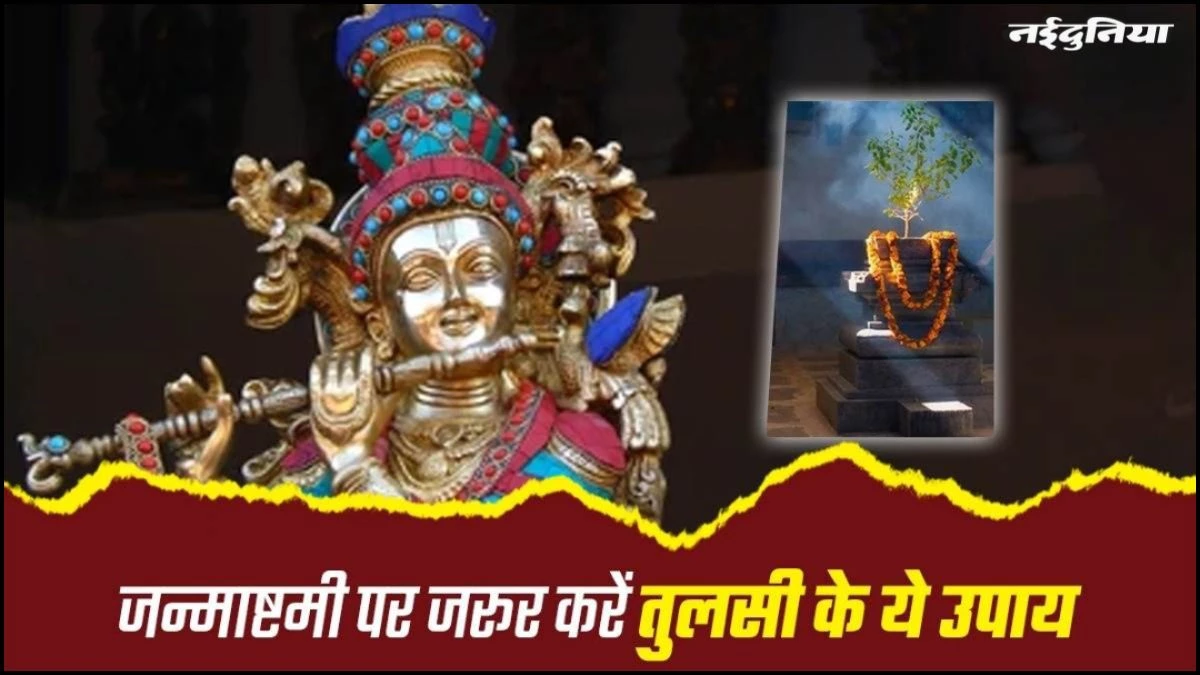 Janmashtami 2025: कृष्ण जन्माष्टमी पर करें तुलसी के ये उपाय, दूर हो जाएगी दरिद्रता, घर आएगी लक्ष्मी