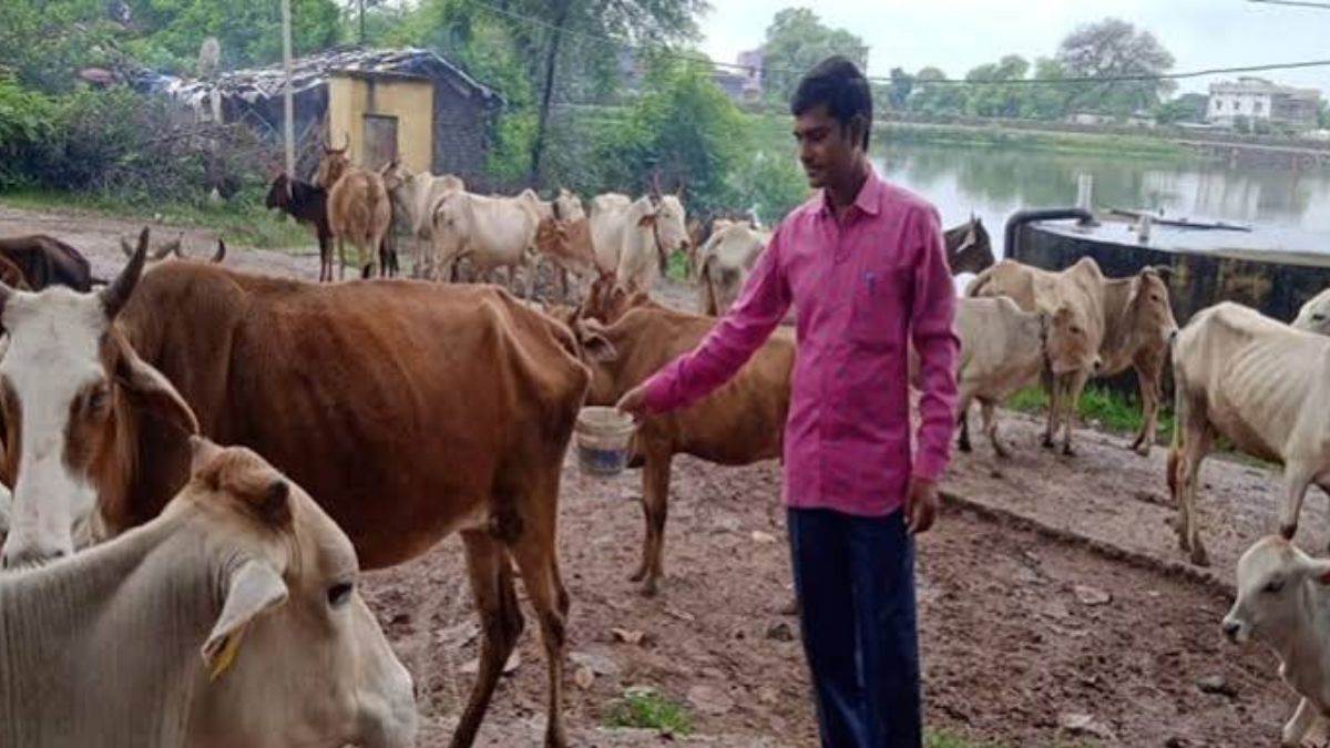 यूपी में 10 रुपये लीटर खरीदा जाएगा गोमूत्र, ग्रामीण आय बढ़ाने और जैविक खेती को बढ़ावा देने की तैयारी