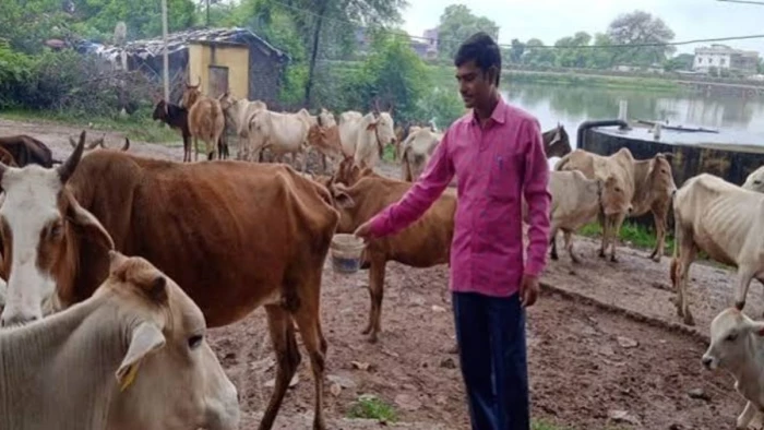 यूपी में 10 रुपये लीटर खरीदा जाएगा गोमूत्र, ग्रामीण आय बढ़ाने और जैविक खेती को बढ़ावा देने की तैयारी