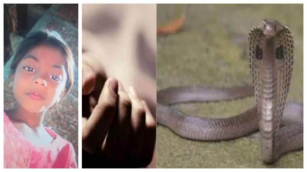 बिलासपुर में रोंगटे खड़े करने वाली घटना, मां के साथ सो रही 7 वीं की छात्रा को सांप ने डसा, मौत