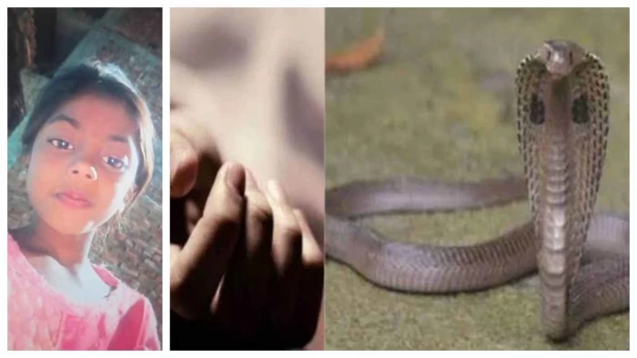 बिलासपुर में रोंगटे खड़े करने वाली घटना, मां के साथ सो रही 7 वीं की छात्रा को सांप ने डसा, मौत