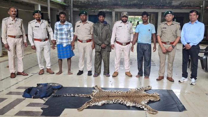 नारायणपुर में वन्यजीव तस्करी का पर्दाफाश: बाइक से ले जा रहे थे तेंदुए की खाल, तीन तस्कर गिरफ्तार