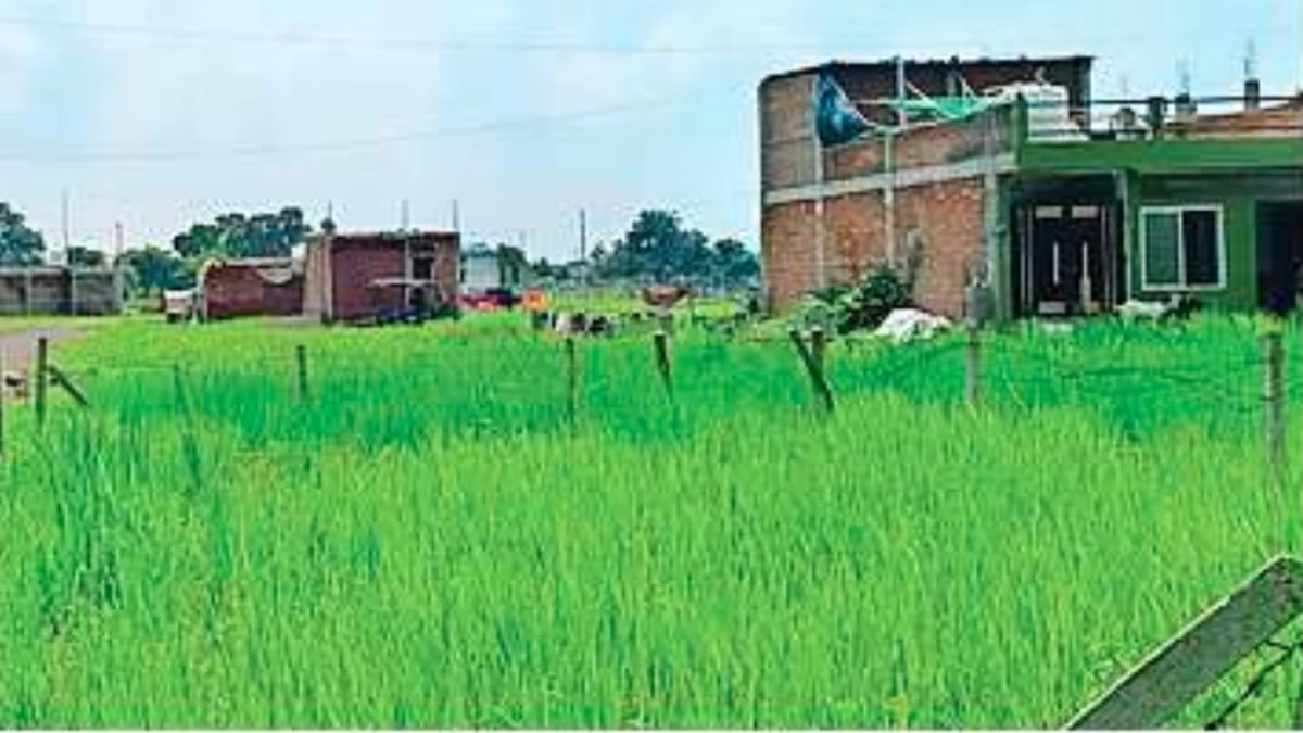 भोपाल में खेती की जमीन पर काट दीं अवैध कॉलोनियां, 113 लोगों पर दर्ज होगी एफआईआर