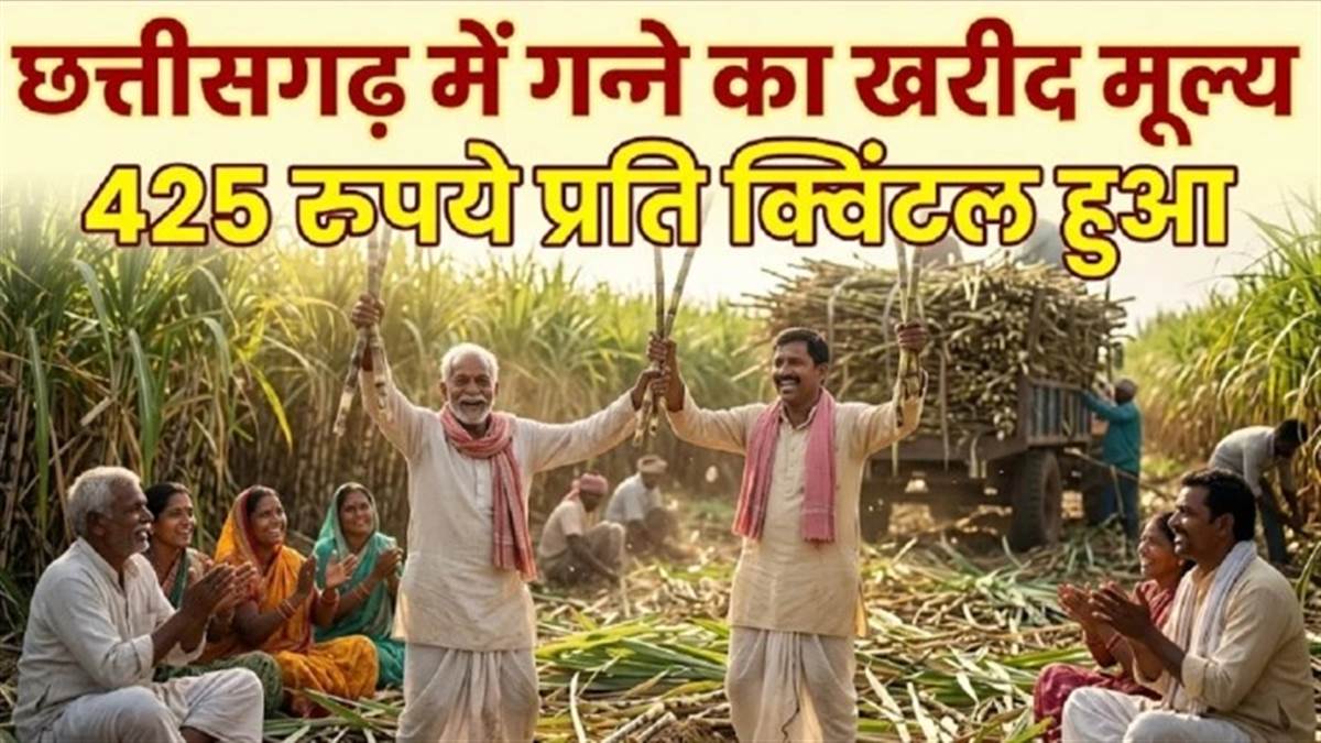 छत्तीसगढ़ के 31 हजार गन्ना किसानों के बोनस में इजाफा, 425 रुपये प्रति क्विंटल हुई, 51 करोड़ का आवंटन