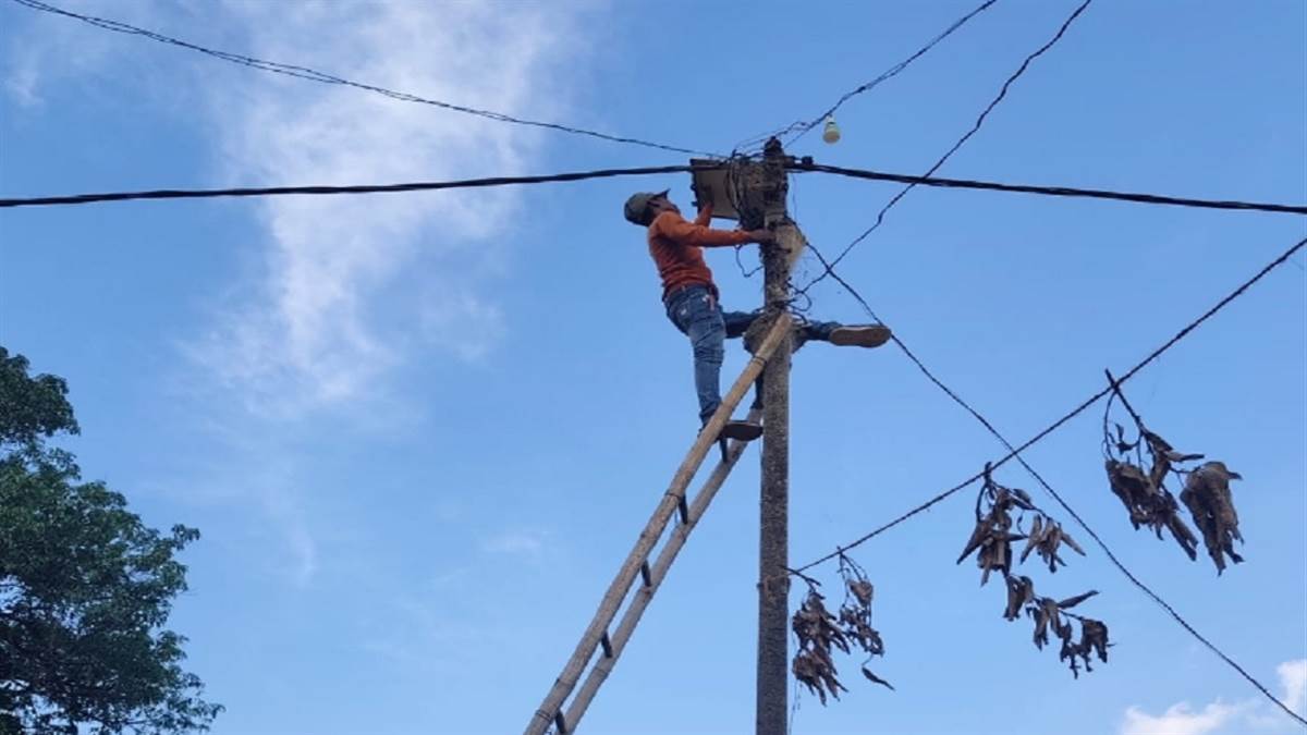 छत्तीसगढ़ में बिजली चोरों पर बड़ी कार्रवाई: महासमुंद, गरियाबंद के 187 परिसरों की जांच, 96 जगह चोरी, दर्ज होगी एफआईआर
