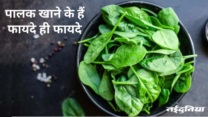सर्दियों भर जरूर खाएं पालक, आंखों से लेकर हड्डियों और स्किन तक को मिलेगा फायदा