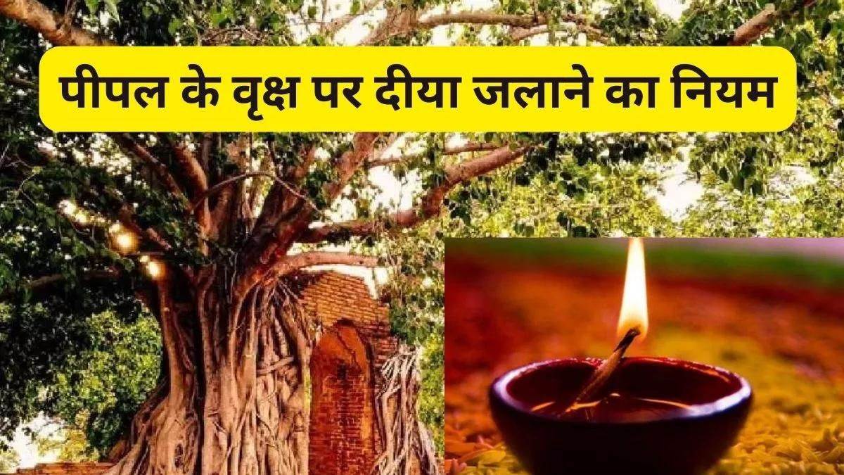 Peepal Puja If you also light a lamp in front of Peepal, then learn