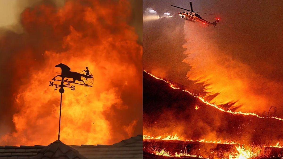 दुनियां  – Los Angeles Wildfires:: 12 हजार बिल्डिंग जलकर राख, 16 लोगों की मौत; LA में लगी आग नहीं ले रही रुकने का नाम – #IndiaSamachar