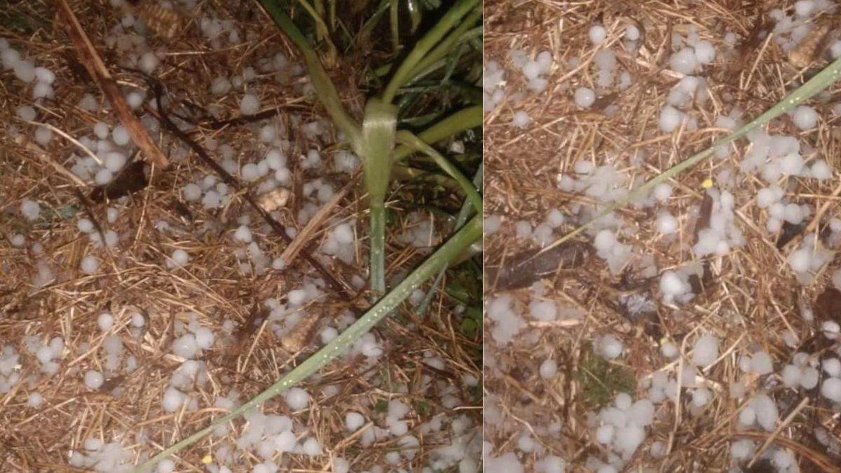 रायपुर समेत छत्तीसगढ़ के कई जिलों में जोरदार बारिश Bilaspur Weather Update: ओले-ओले...बादल डोले, झमाझम वर्षा के साथ ओलावृष्टि