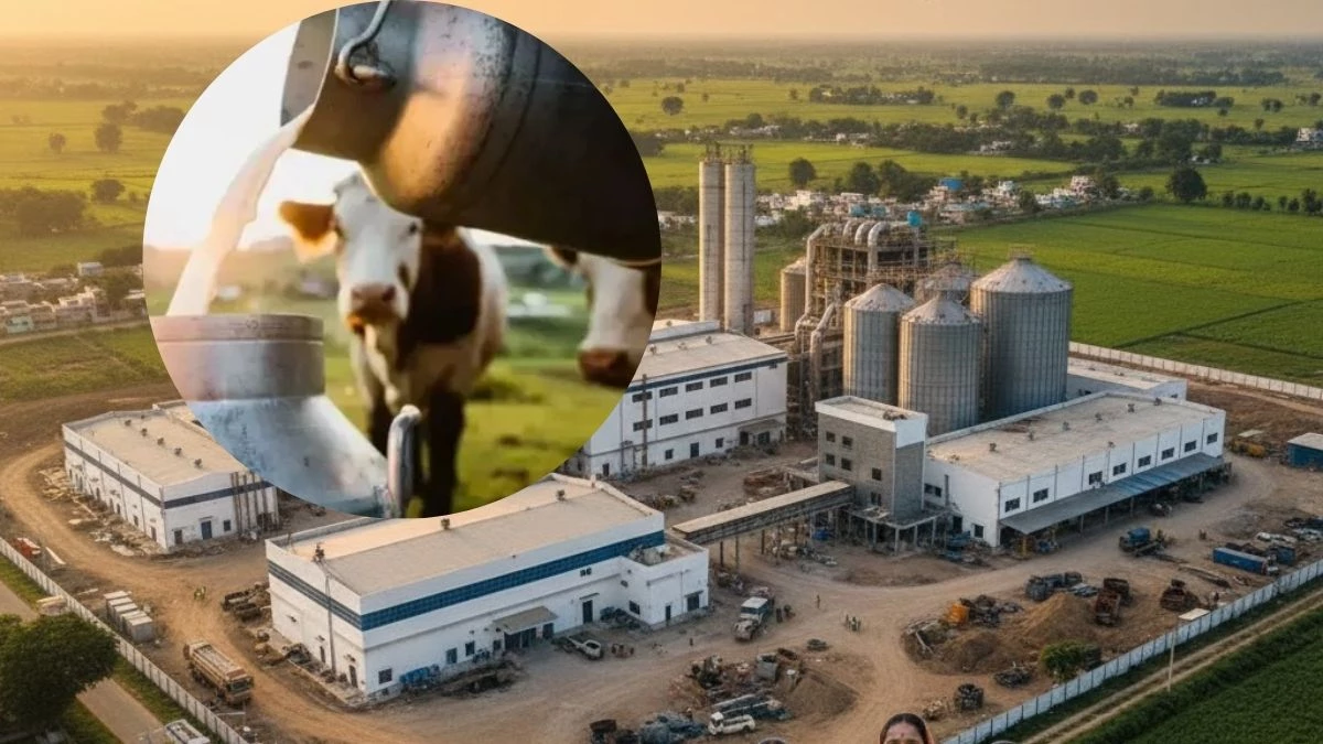 यूपी में 220 नई दुग्ध समितियां बनेंगी, मथुरा में एक लाख लीटर क्षमता का डेयरी प्लांट होगा स्थापित