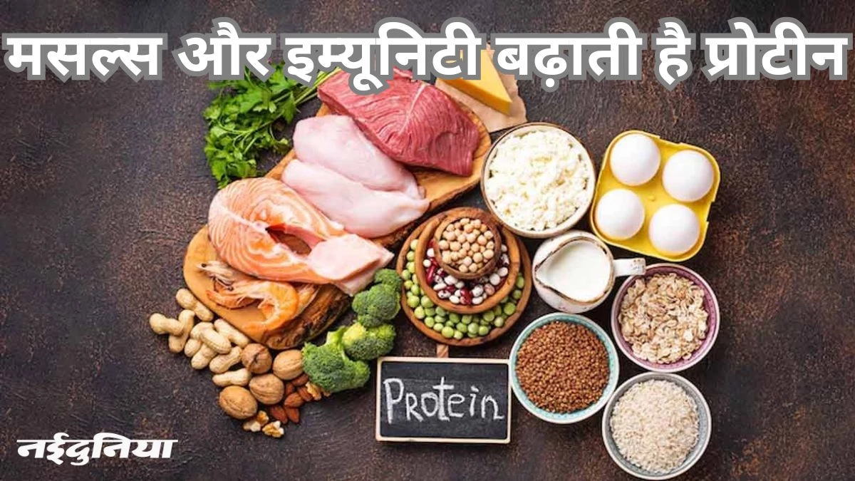 High Protein Diet Benefits: हाई प्रोटीन डाइट से शरीर को मिलते हैं इतने फायदे, दिन भर बनी रहती है एनर्जी