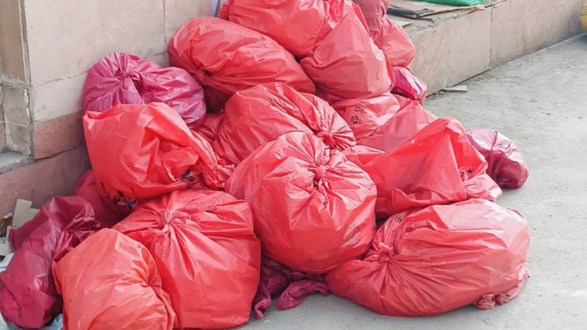 एम्स भोपाल के NICU में 3 दिन में मिले 25 मरे हुए चूहे, मासूम नवजातों पर मंडराया संक्रमण का खतरा