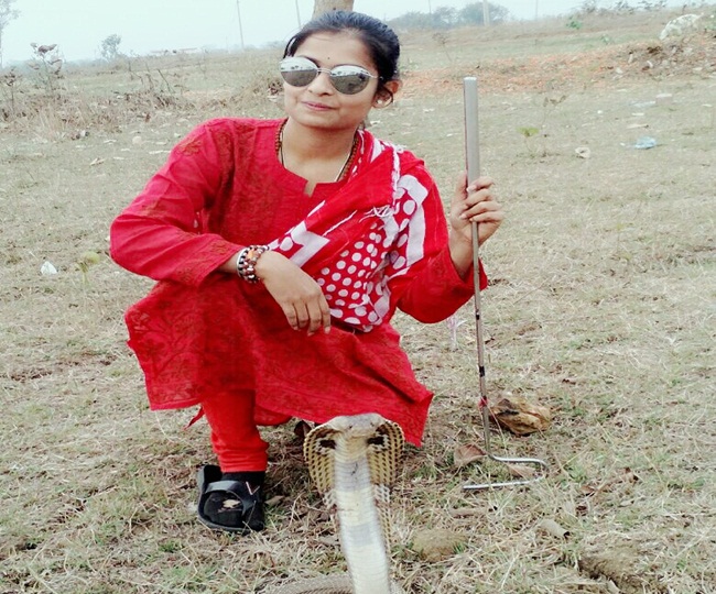 44 दिन के लॉकडाउन में निकले बड़ी संख्या में सांप