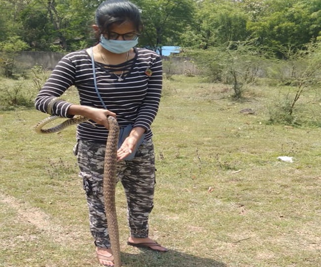 सोशल मीडिया पर कई फॉलोअर