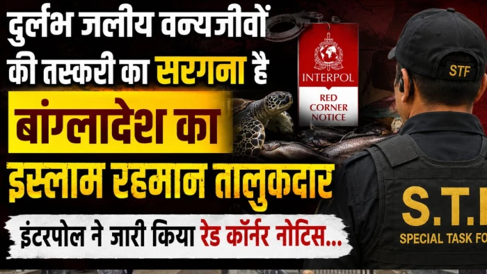भारत में दुर्लभ जलीय वन्यजीवों की तस्करी का सरगना है बांग्लादेश का इस्लाम रहमान तालुकदार, इंटरपोल ने जारी किया रेड कॉर्नर नोटिस