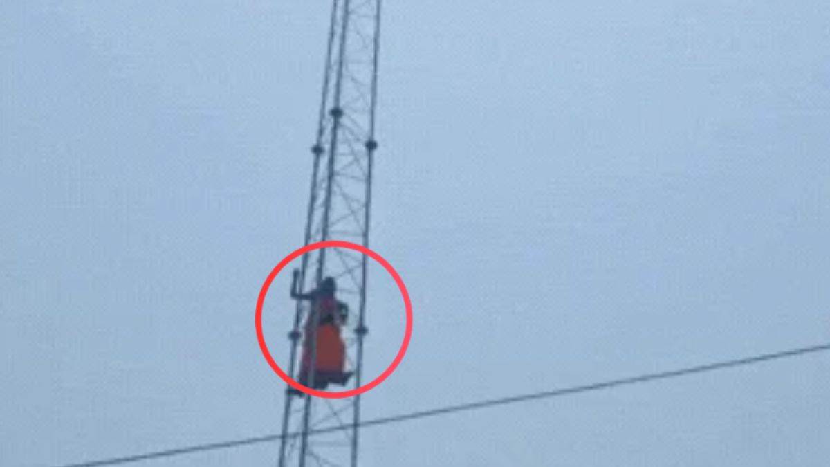 अजब-गजब मामलाः जेल में बंद दुष्कर्म के आरोपित को छुड़ाने के लिए कानपुर में मोबाइल टावर पर चढ़ गई पीड़िता