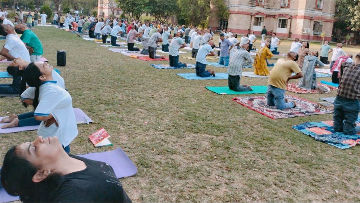 International Yoga Day 2026 : 740 से अधिक शिक्षक बने मास्टर ट्रेनर, 12 जून से शुरू होगा तीसरे चरण का प्रशिक्षण
