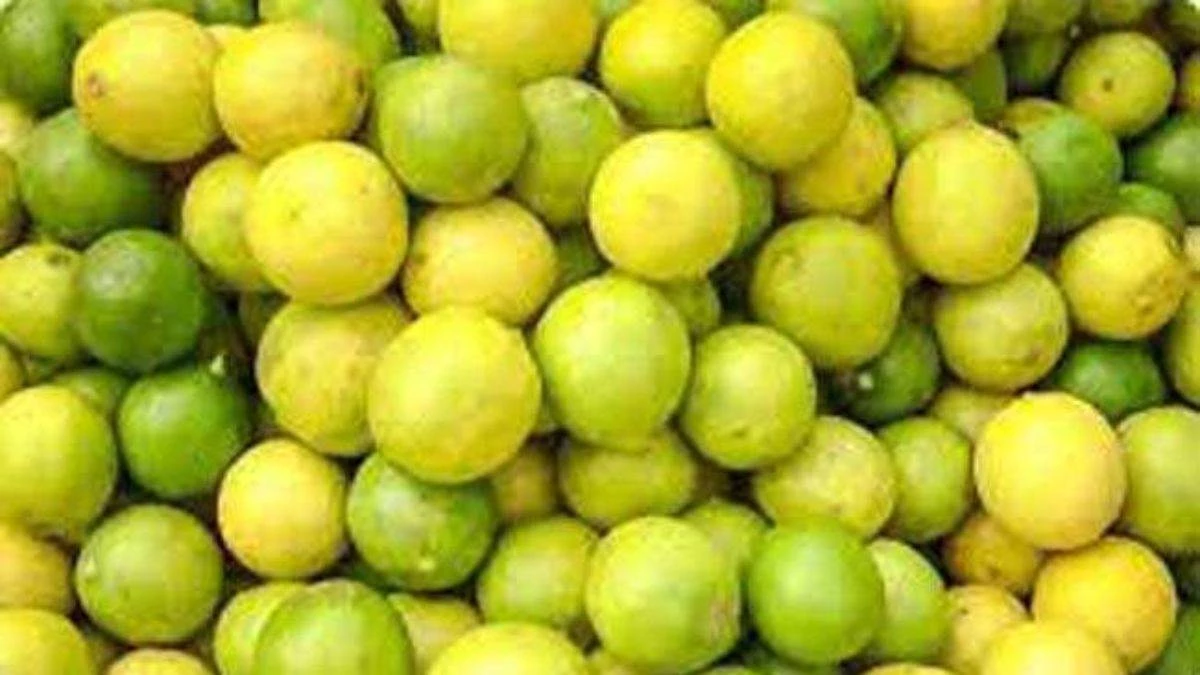 Nimbu Ke Totke: टोटके के लिए बहुत कारगर है नींबू, बस अपनाना होगा यह नियम