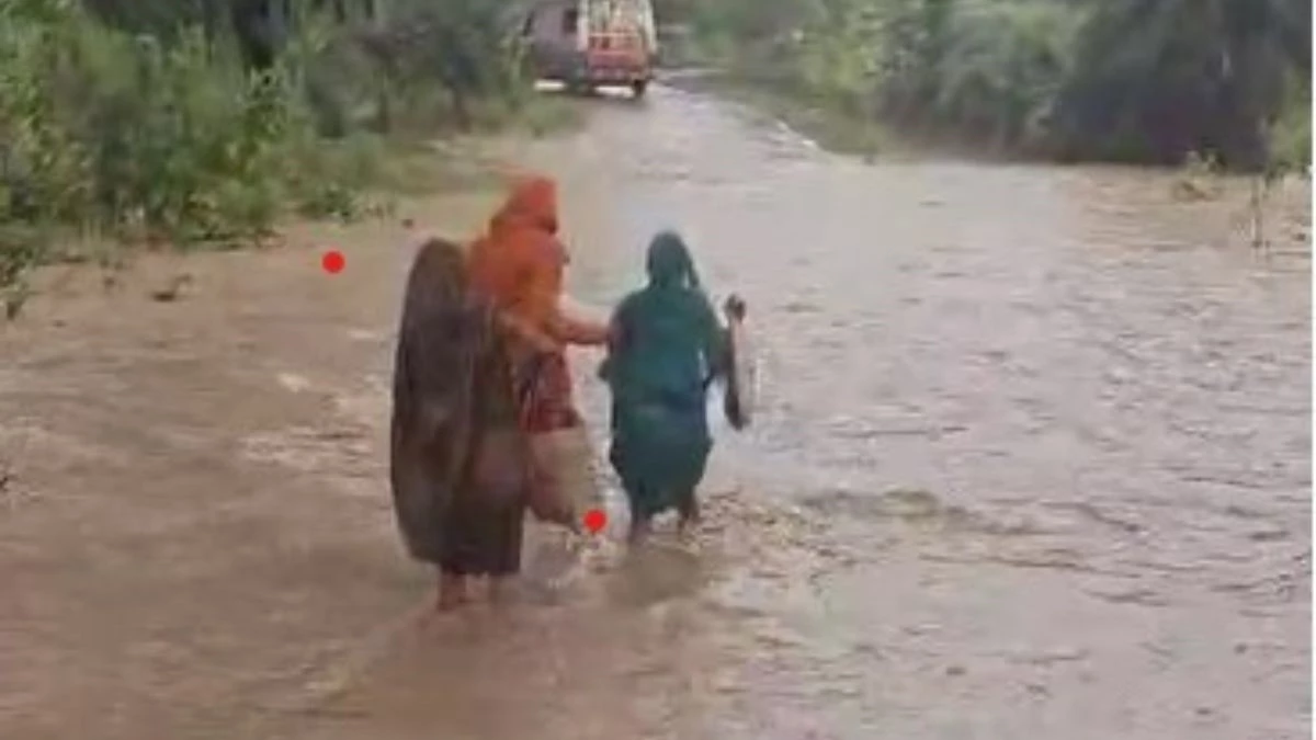 सिस्टम का गजब हाल! गर्भवती ने खुद चलकर पार किया उफनता नाला, दूसरी ओर आराम फरमाते रहे एंबुलेंस कर्मी