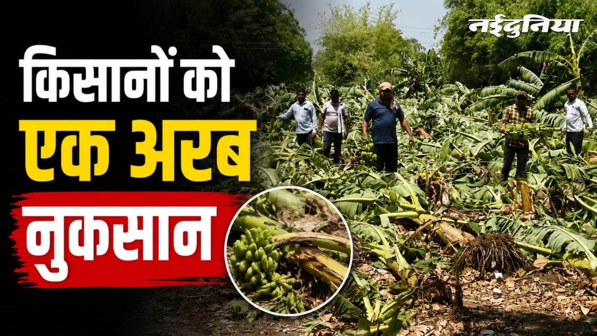 एमपी के 7500 से अधिक किसानों की टूटी कमर, एक अरब हुआ नुकसान, अब बस मुआवजे का इंतजार