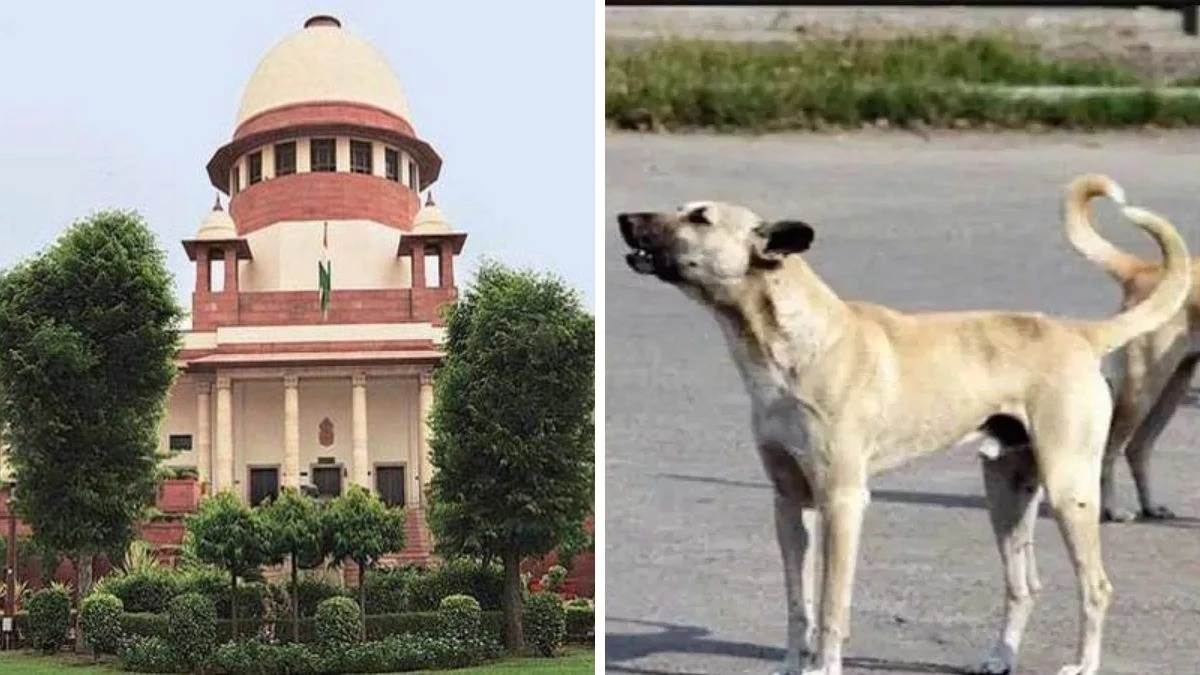 ग्‍वालियर में Dog Shelter का प्रावधान ही नहीं, दो माह बंद रहने के बाद खुला एबीसी सेंटर