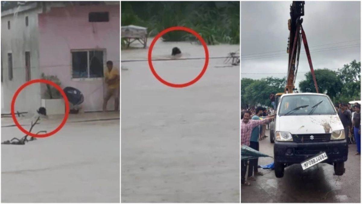 'अगर पुलिस तैनात होती तो बच जाती 9 जानें': राजगढ़ हादसे की जांच में लीपापोती; जिम्मेदारी तय नहीं कर पाया प्रशासन