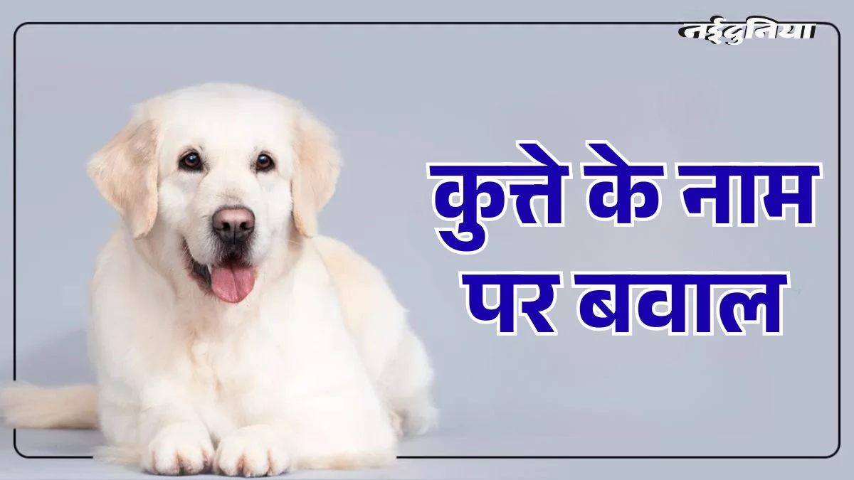 Indore में कुत्ते के नामकरण पर बवाल... 'शर्मा जी' नाम से मचा हंगामा, दर्ज हुई FIR