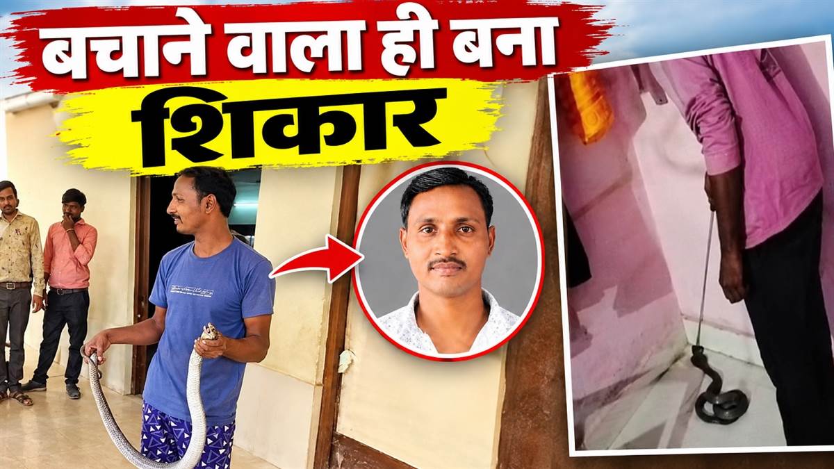 बेमेतरा में बचाने वाला ही बन गया शिकार: रेस्क्यू करते समय कोबरा के डसने से स्नेक कैचर की मौत