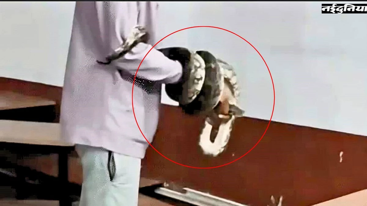 कोरबा में क्लासरूम में निकला 8 फीट का अजगर, बच्चों में मची अफरा-तफरी
