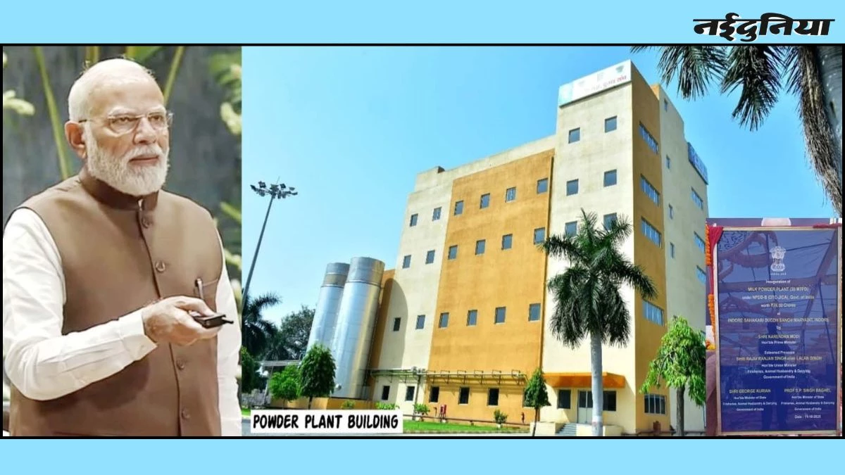 MP को बड़ी सौगात... Indore में रोज बनेगा 30 हजार किलो दूध पाउडर, किसानों को होगा फायदा