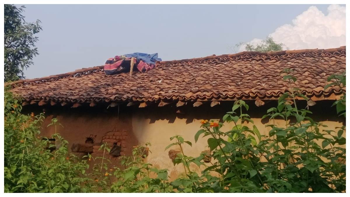 कोरबा जिले के पसान क्षेत्र में हाथियों की आहट से उड़ी ग्रामीणों की नींद,...