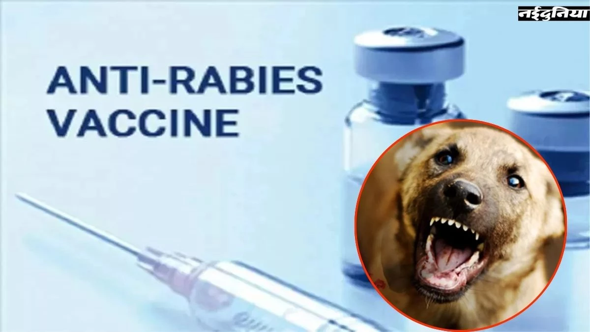 छत्तीसगढ़ में बढ़ रहे डॉग बाइट के मामले, सरकारी अस्पतालों में नहीं एंटी रेबिज डोज; मरीज परेशान