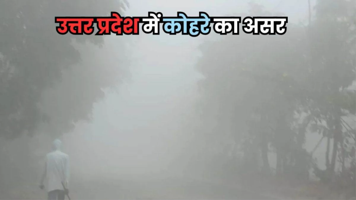 UP Weather Update: कानपुर समेत इन जिलों में ठंड का टॉर्चर शुरू, IMD ने जारी किया अलर्ट