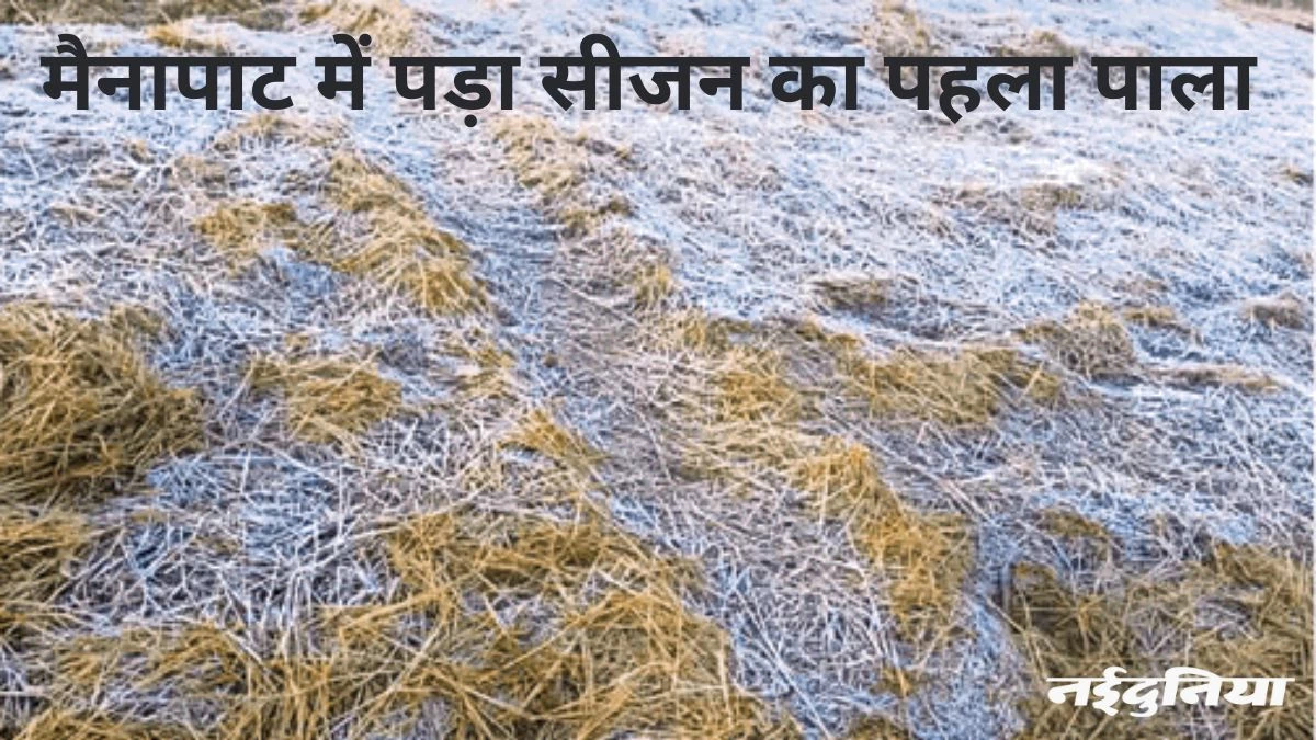 Chhattisgarh Weather: मैनपाट में बिछा पाला, तापमान तीन डिग्री पहुंचा... सर्द हवाओं से ठंड के तेवर तीखे