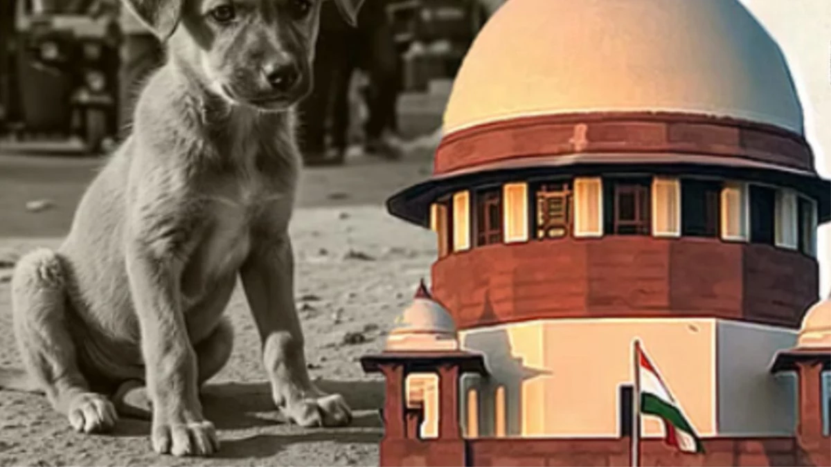 'कुत्ते के काटने पर अब राज्य सरकारें भरेंगी मुआवजा', सुप्रीम कोर्ट का ऐतिहासिक फैसला