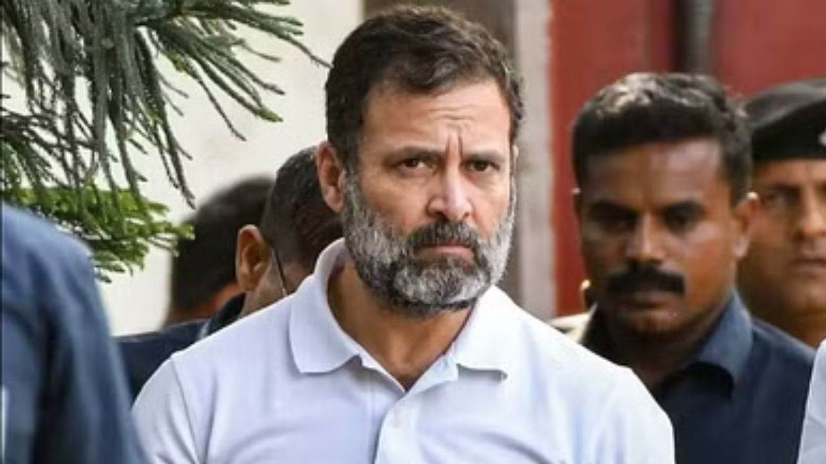 Rahul Gandhi: अंबिकापुर में न्याय यात्रा को छोड़ अचानक चार्टर्ड प्लेन से  दिल्ली रवाना हुए राहुल गांधी - Rahul Gandhi Leave Bharat Jodo Nyay Yatra in  Ambikapur for kisan Andolan in ...