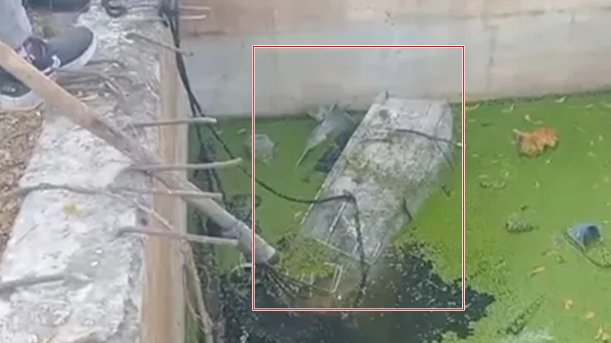 भोपाल में बंद पेटी के अंदर पानी के टैंक में मिली महिला की लाश, हाथ पर मिला दीप का टैटू और 26 मई 1992 की तारीख