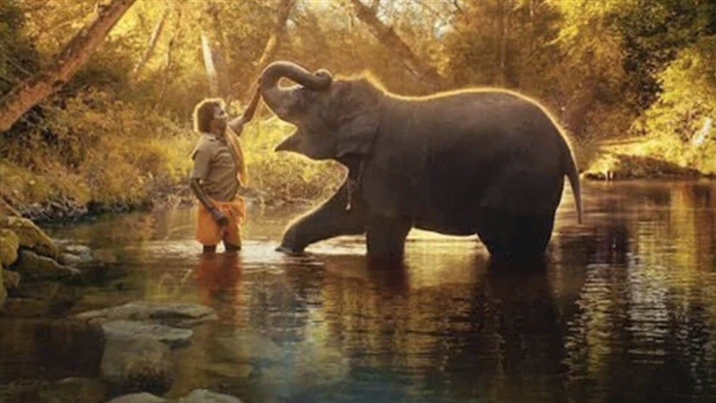 Oscar 2023: The Elephant Whispers got the award for Best Documentary, know what is the story of the film