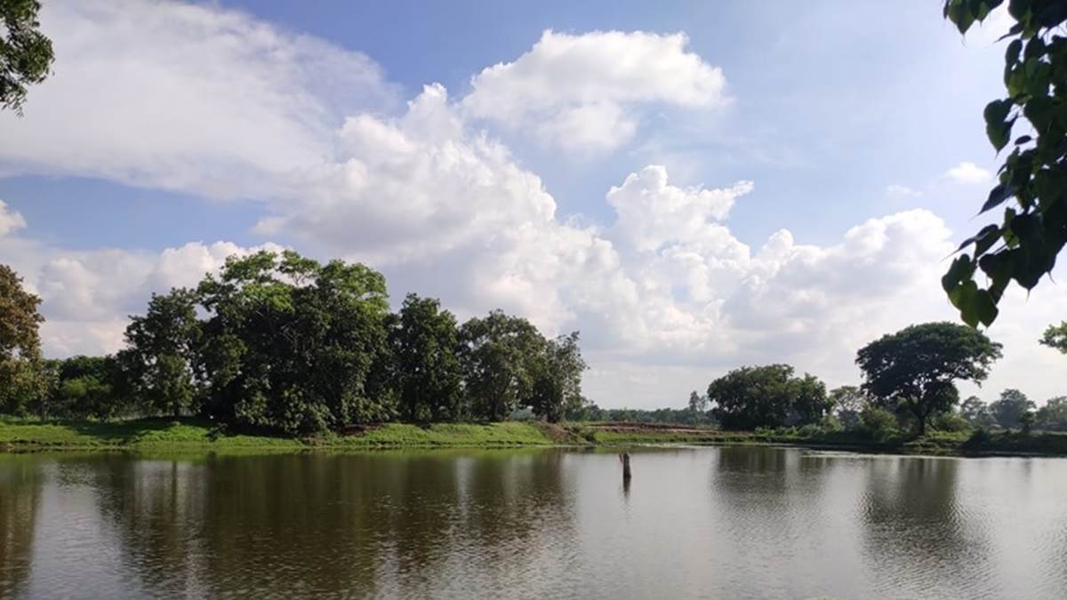 Bilaspur Weather Update: मौसम मनभावन, मनोरम दृश्य कर रहा मोहित