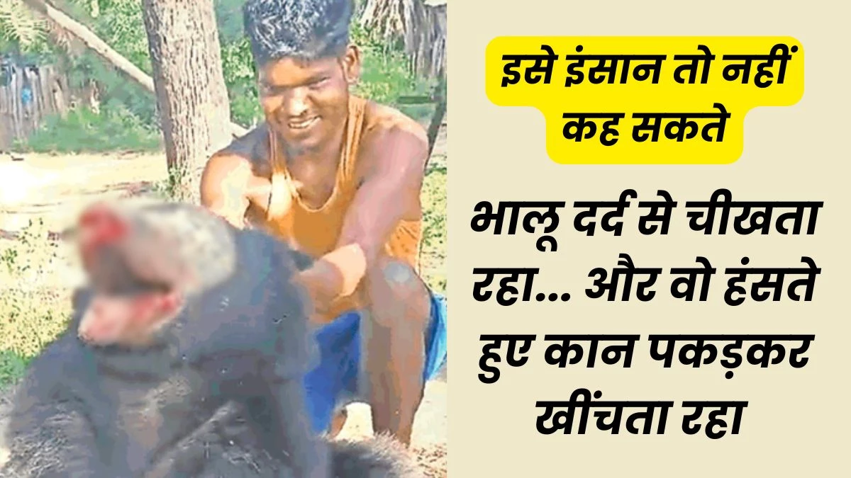 Sukma Bear Torture: सुकमा में भालू को पकड़कर मुंह और पंजे तोड़े, हंसते हुए बनाया इस हैवानियत का वीडियो
