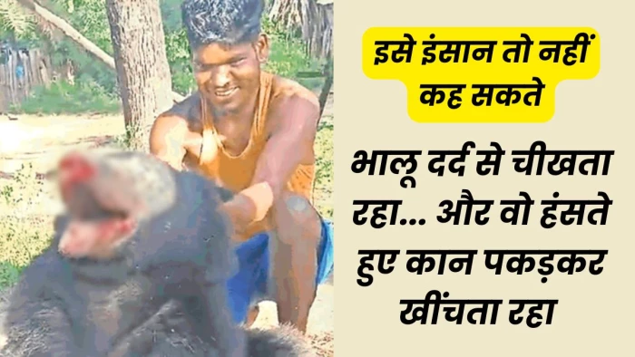 Sukma Bear Torture: सुकमा में भालू को पकड़कर मुंह और पंजे तोड़े, हंसते हुए बनाया इस हैवानियत का वीडियो