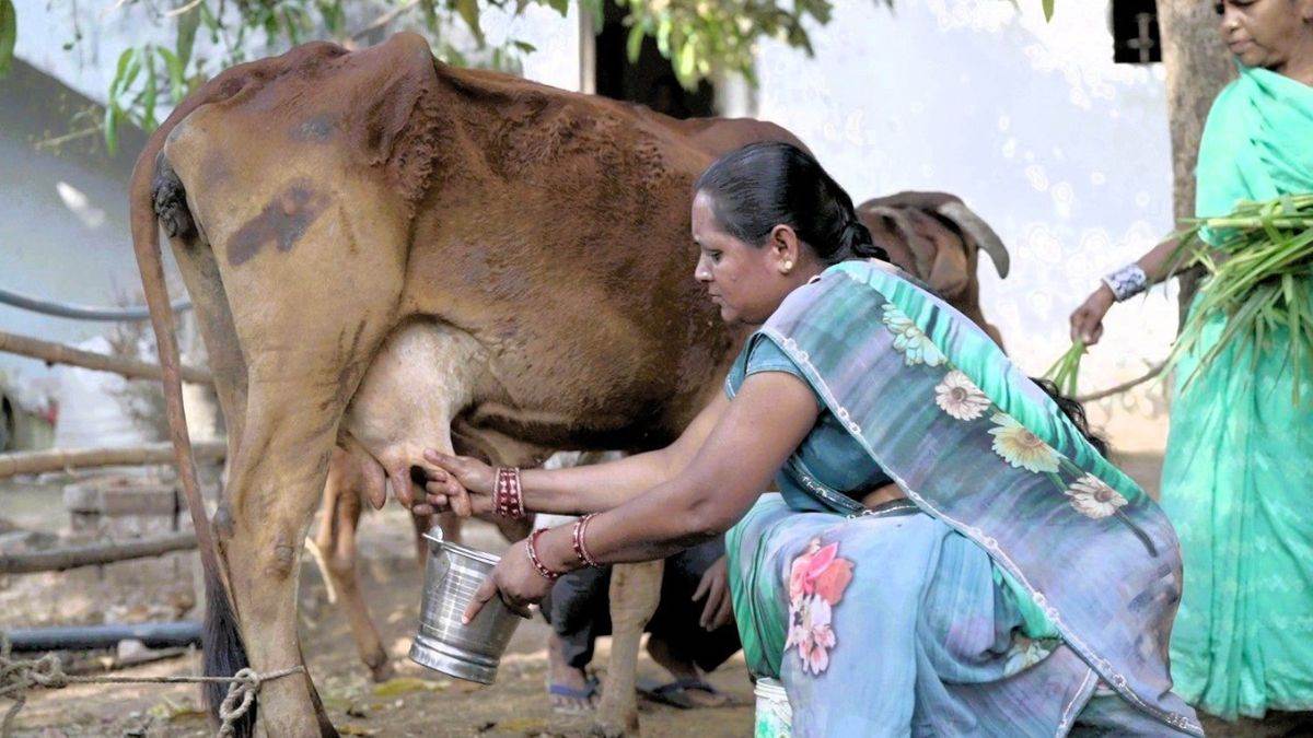 छत्तीसगढ़ का ऐसा गांव जहां हर घर में हैं ‘लखपति दीदी’, कहलाता है 'लखपति ग्राम'